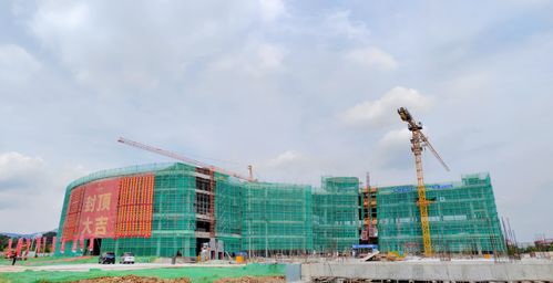 烏龍茶首個5g工廠 在福建武夷山封頂