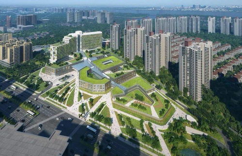 同頻共振融入 十四五 融僑集團堅定以 醫(yī)食住教 服務美好生活